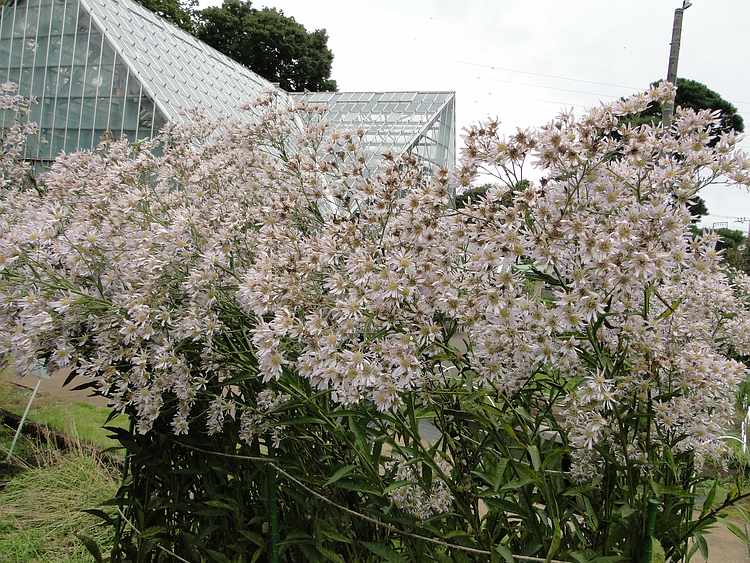 f:id:noyama_ko:20201018201440j:plain f:id:noyama_ko:20201018201440j:plain