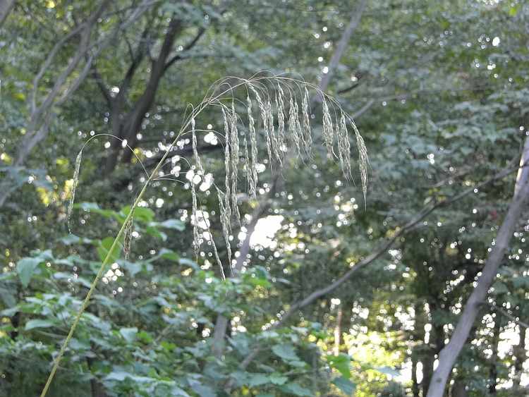 f:id:noyama_ko:20201020204350j:plain f:id:noyama_ko:20201020204350j:plain
