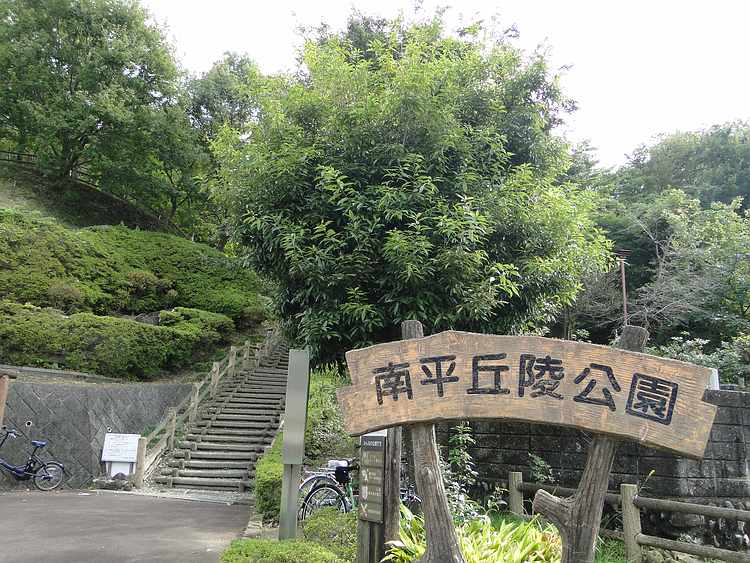 f:id:noyama_ko:20201023085036j:plain f:id:noyama_ko:20201023085036j:plain