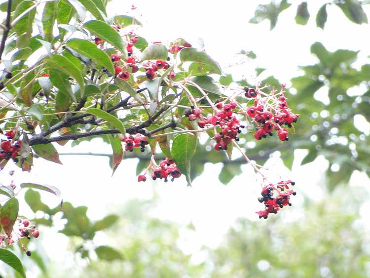 f:id:noyama_ko:20201023085229j:plain f:id:noyama_ko:20201023085229j:plain