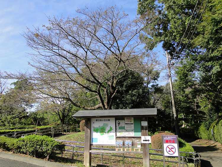 f:id:noyama_ko:20201027125131j:plain f:id:noyama_ko:20201027125131j:plain