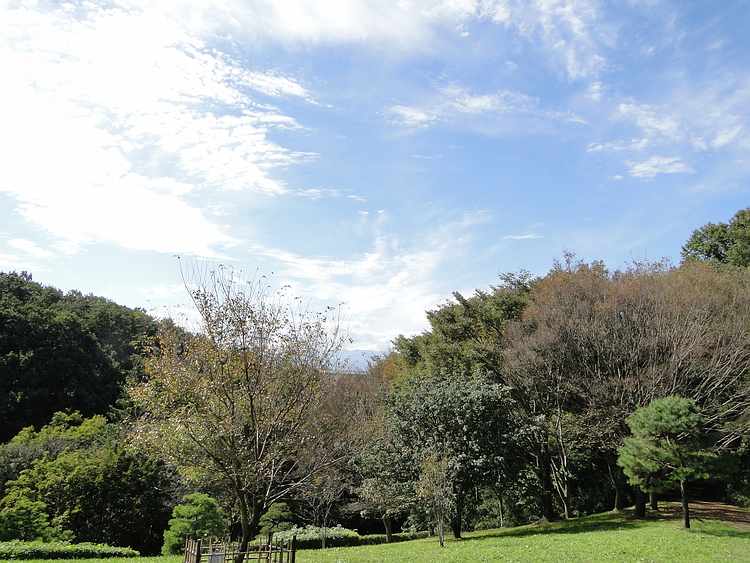 f:id:noyama_ko:20201027142156j:plain f:id:noyama_ko:20201027142156j:plain