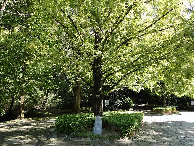 f:id:noyama_ko:20201027142209j:plain f:id:noyama_ko:20201027142209j:plain