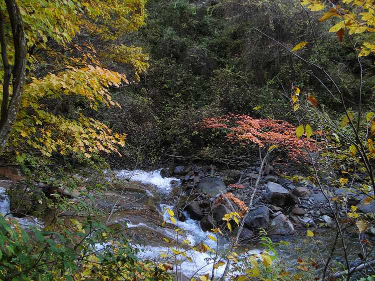 f:id:noyama_ko:20201101095339j:plain f:id:noyama_ko:20201101095339j:plain