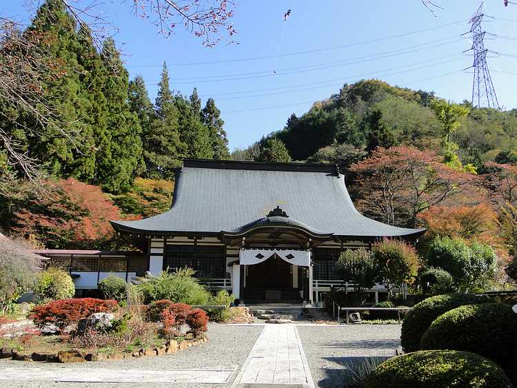 f:id:noyama_ko:20201102184414j:plain f:id:noyama_ko:20201102184414j:plain