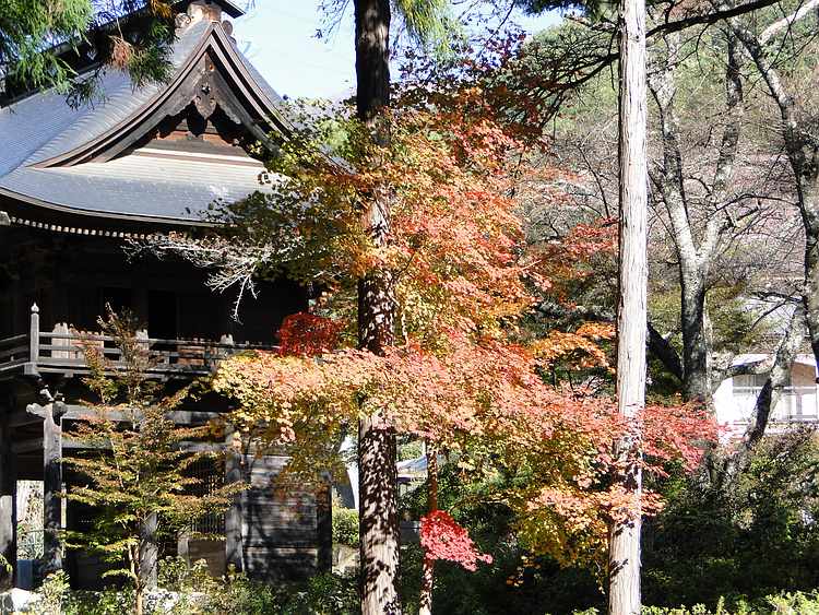 f:id:noyama_ko:20201102184712j:plain f:id:noyama_ko:20201102184712j:plain