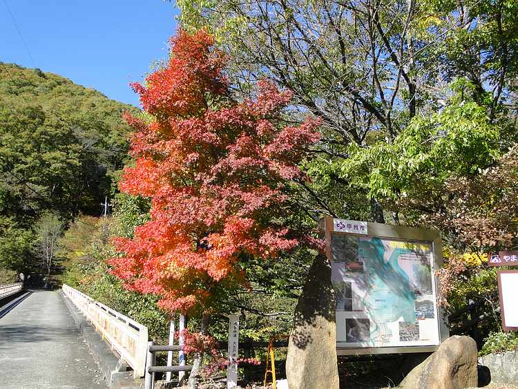 f:id:noyama_ko:20201102184932j:plain f:id:noyama_ko:20201102184932j:plain