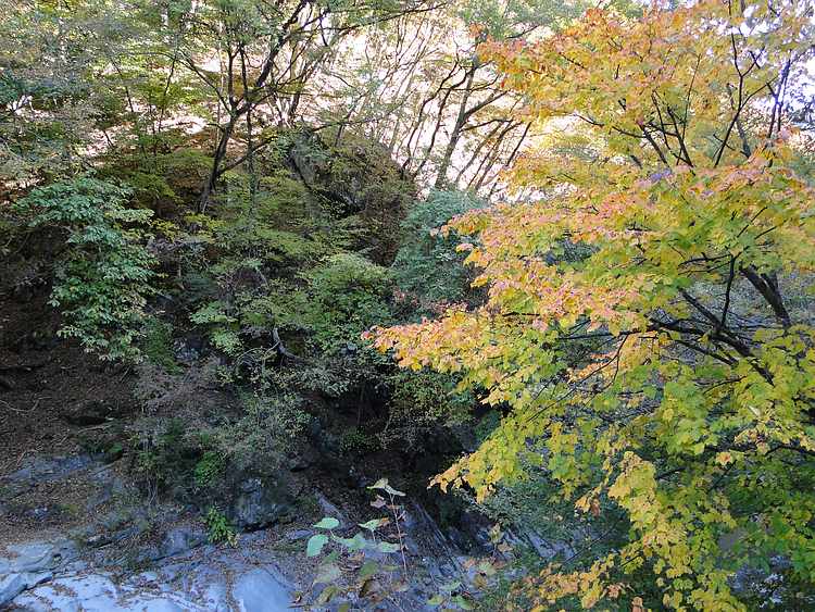 f:id:noyama_ko:20201102184943j:plain f:id:noyama_ko:20201102184943j:plain