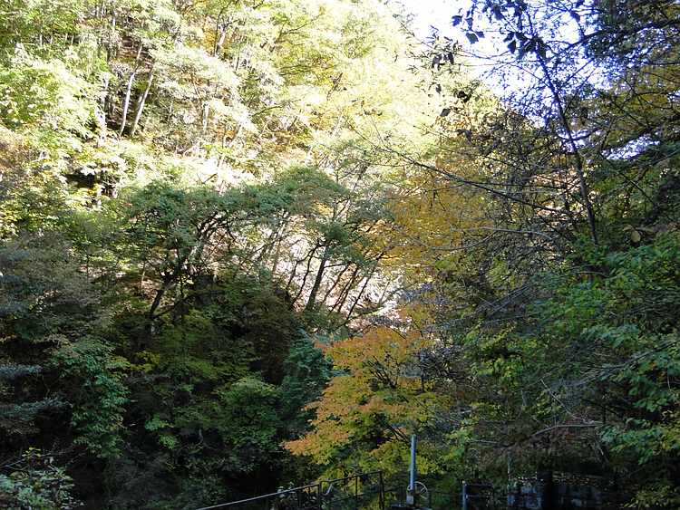 f:id:noyama_ko:20201102185217j:plain f:id:noyama_ko:20201102185217j:plain