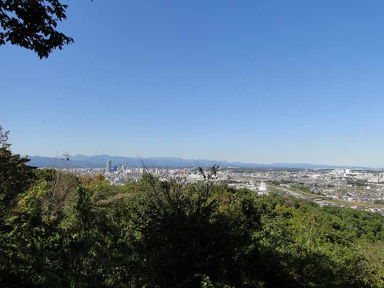 f:id:noyama_ko:20201105184843j:plain f:id:noyama_ko:20201105184843j:plain