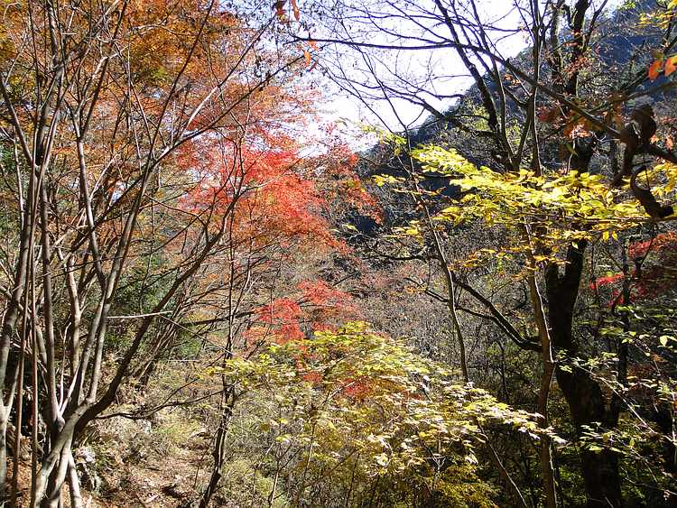 f:id:noyama_ko:20201111230402j:plain f:id:noyama_ko:20201111230402j:plain