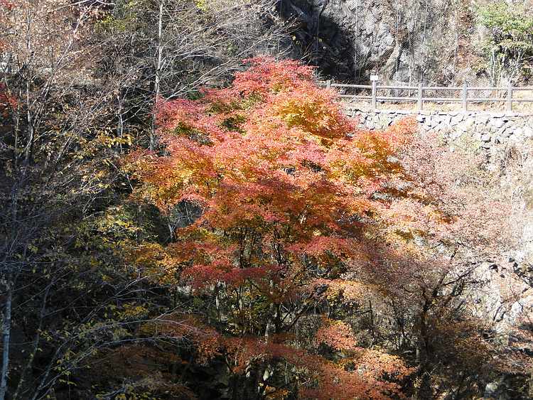 f:id:noyama_ko:20201111230944j:plain f:id:noyama_ko:20201111230944j:plain