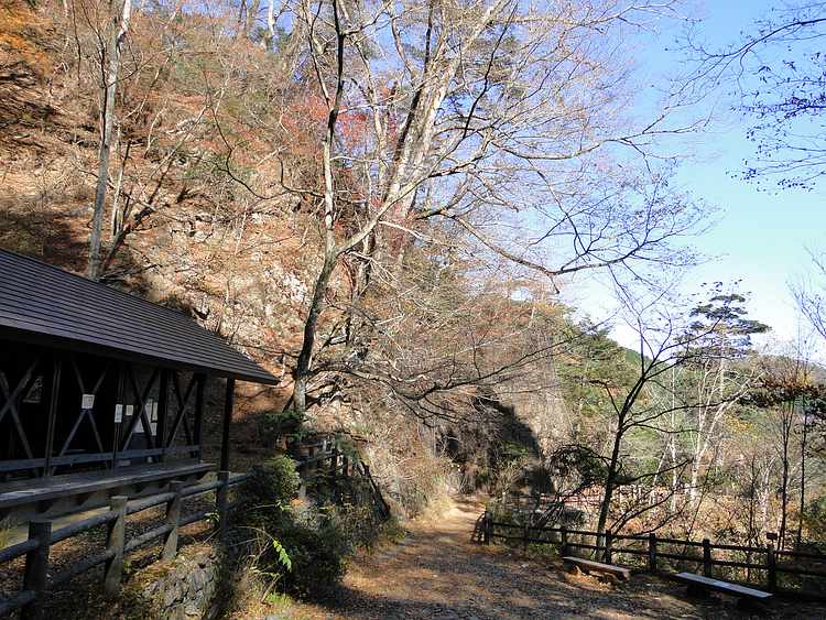 f:id:noyama_ko:20201111231117j:plain f:id:noyama_ko:20201111231117j:plain