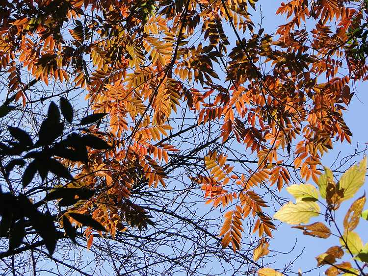 f:id:noyama_ko:20201222181750j:plain
