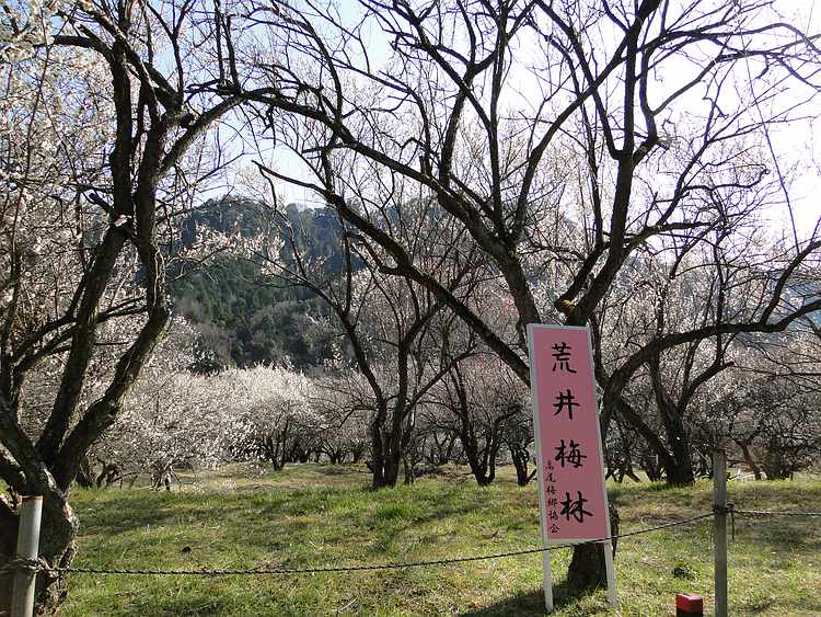 f:id:noyama_ko:20210225205021j:plain