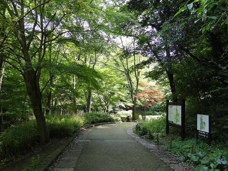 f:id:noyama_ko:20210624183703j:plain