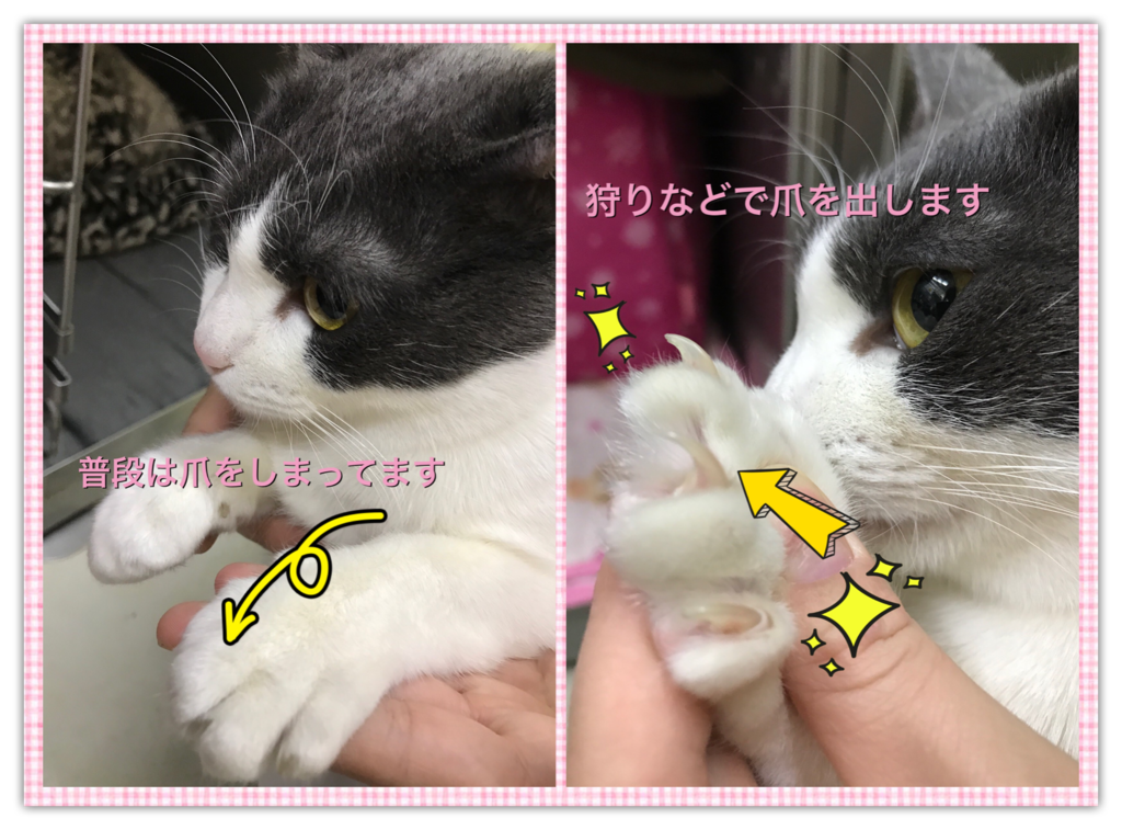 f:id:nozawa_clinic:20161220113339p:plain f:id:nozawa_clinic:20161220113339p:plain