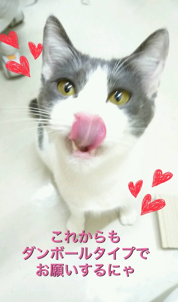 f:id:nozawa_clinic:20161221111622j:plain f:id:nozawa_clinic:20161221111622j:plain