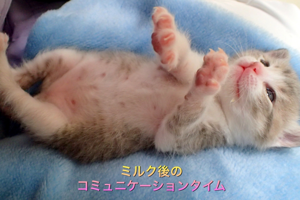 f:id:nozawa_clinic:20170510095304j:plain f:id:nozawa_clinic:20170510095304j:plain