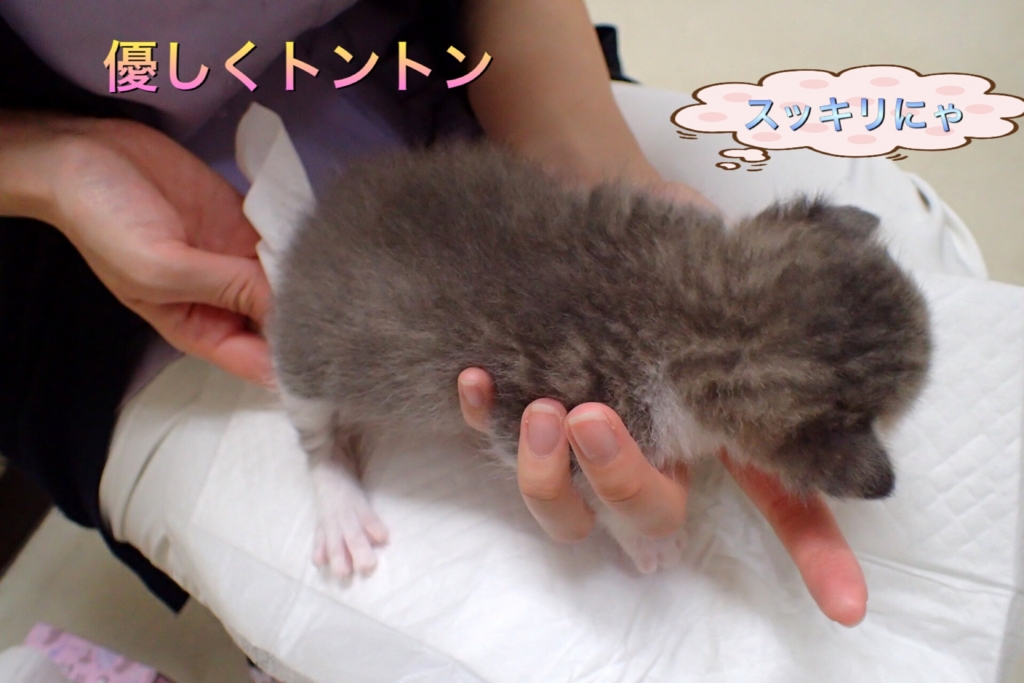 f:id:nozawa_clinic:20170510095726j:plain f:id:nozawa_clinic:20170510095726j:plain