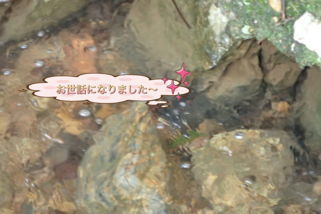 f:id:nozawa_clinic:20180509114340j:plain f:id:nozawa_clinic:20180509114340j:plain