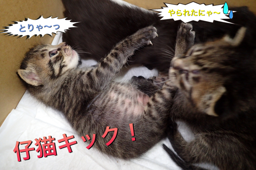 f:id:nozawa_clinic:20180509163425j:plain f:id:nozawa_clinic:20180509163425j:plain