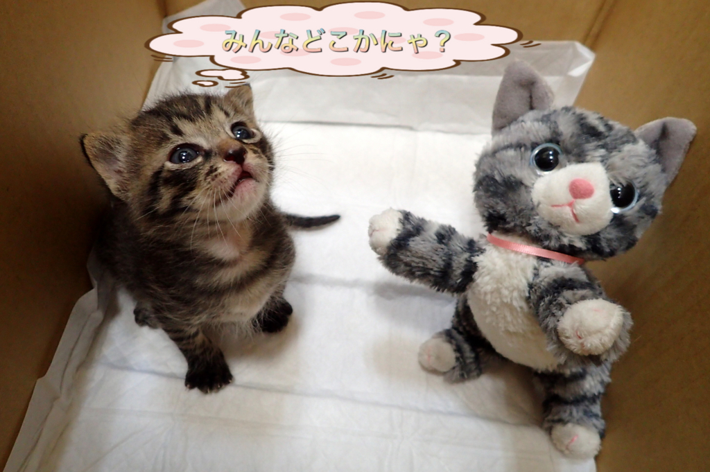 f:id:nozawa_clinic:20180509180804j:plain f:id:nozawa_clinic:20180509180804j:plain