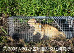 f:id:nozawa_clinic:20191003165358j:plain f:id:nozawa_clinic:20191003165358j:plain