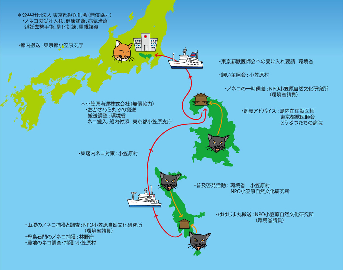f:id:nozawa_clinic:20191003170458j:plain f:id:nozawa_clinic:20191003170458j:plain