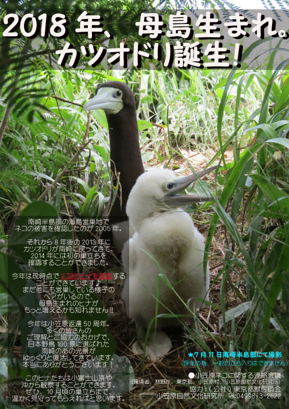 f:id:nozawa_clinic:20191003180422j:plain f:id:nozawa_clinic:20191003180422j:plain