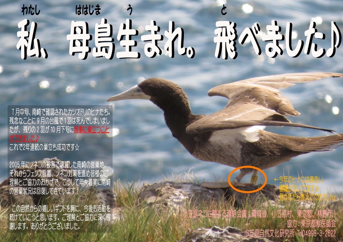 f:id:nozawa_clinic:20191003180451j:plain f:id:nozawa_clinic:20191003180451j:plain