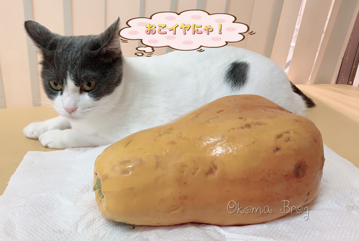 f:id:nozawa_clinic:20191003181440j:plain f:id:nozawa_clinic:20191003181440j:plain