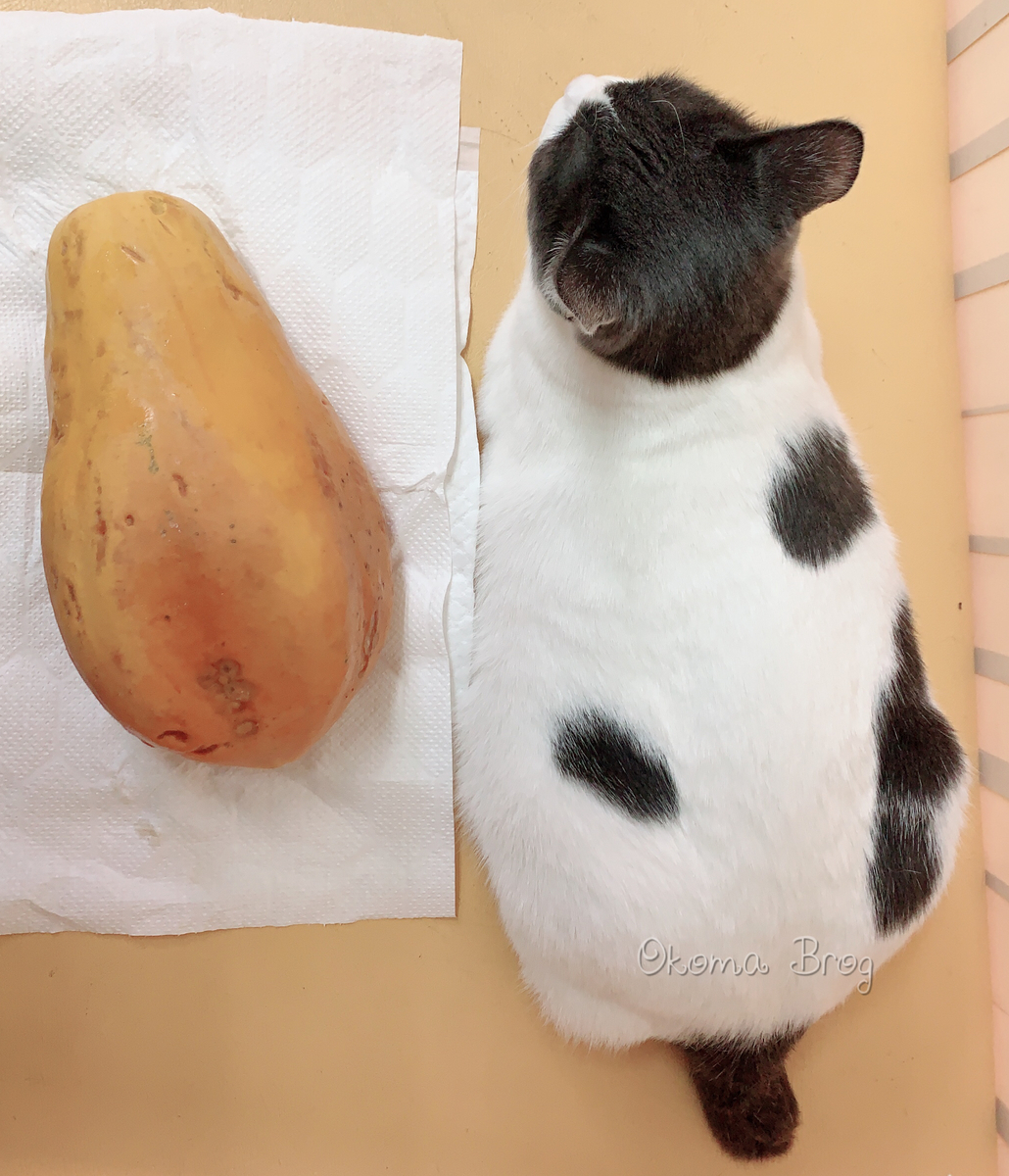 f:id:nozawa_clinic:20191003181547j:plain f:id:nozawa_clinic:20191003181547j:plain