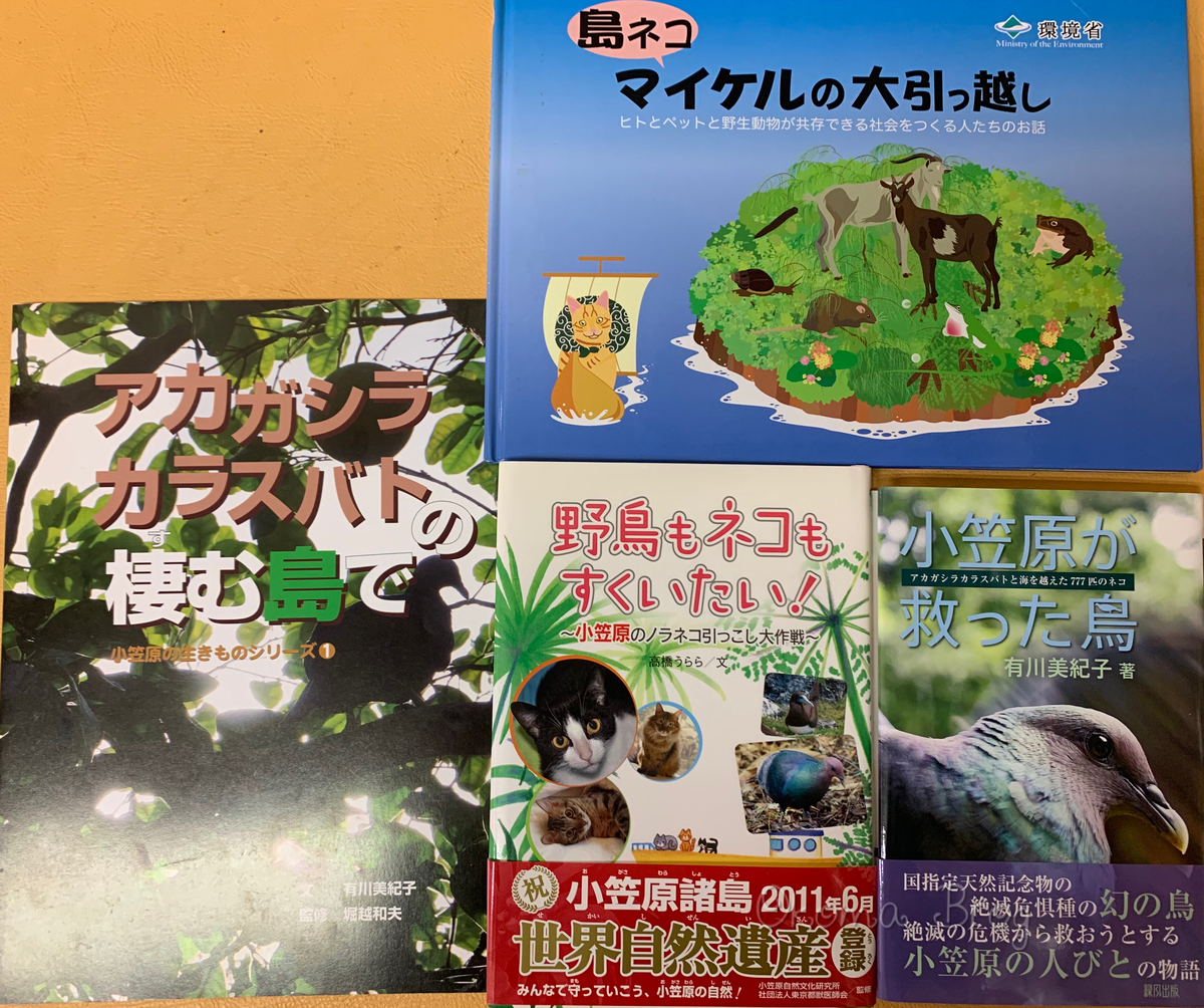 f:id:nozawa_clinic:20191003184121j:plain f:id:nozawa_clinic:20191003184121j:plain