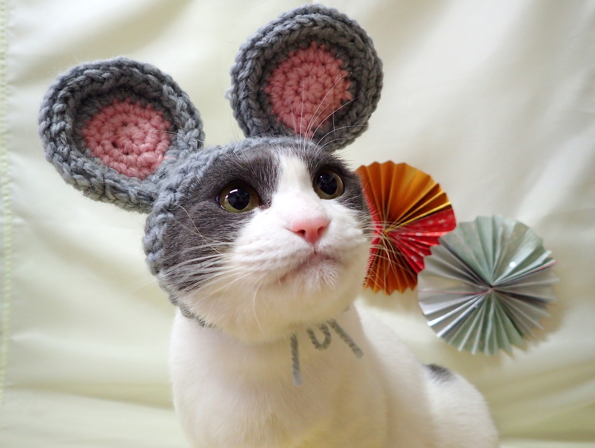 f:id:nozawa_clinic:20210112171251j:plain