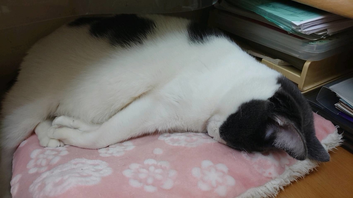 f:id:nozawa_clinic:20210309110611j:plain