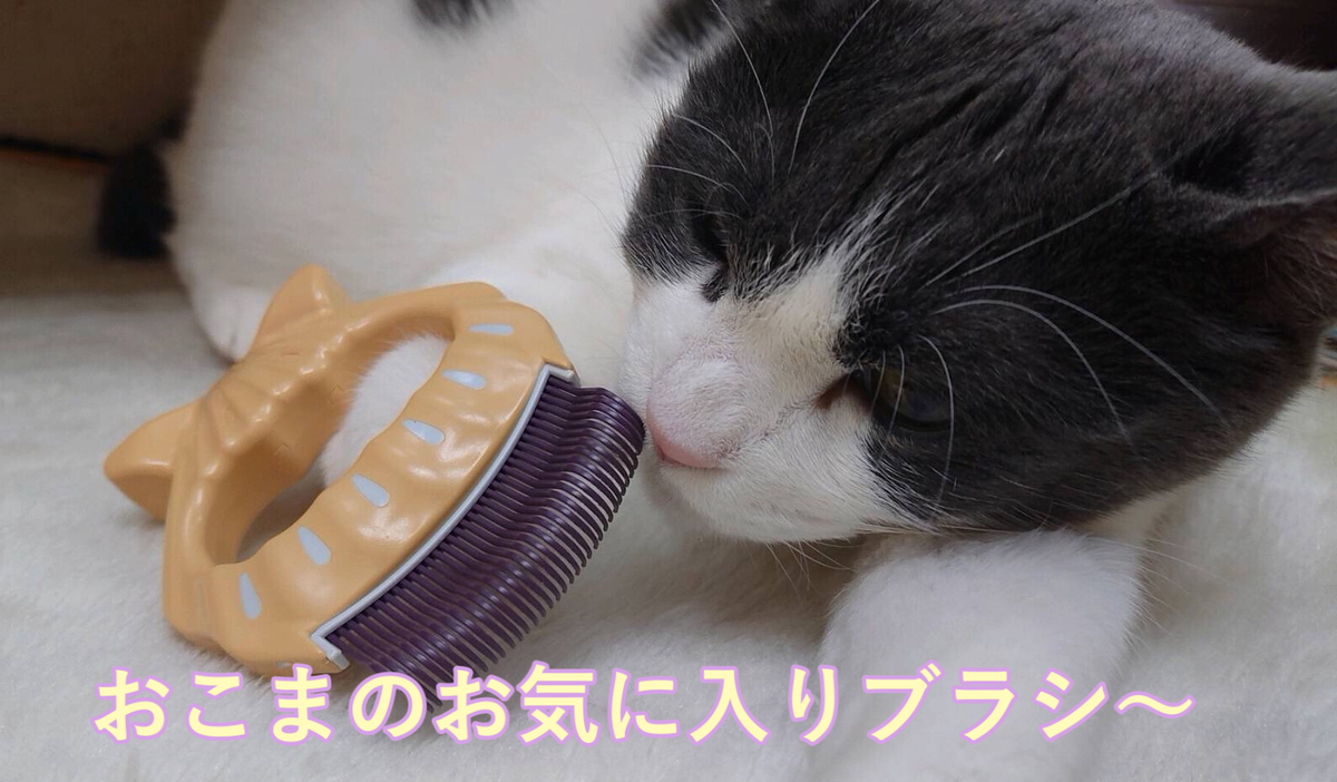 f:id:nozawa_clinic:20210415113148j:plain