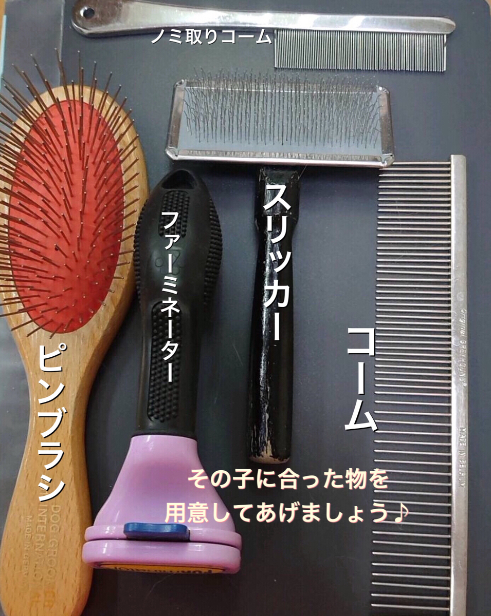 f:id:nozawa_clinic:20210415164144j:plain