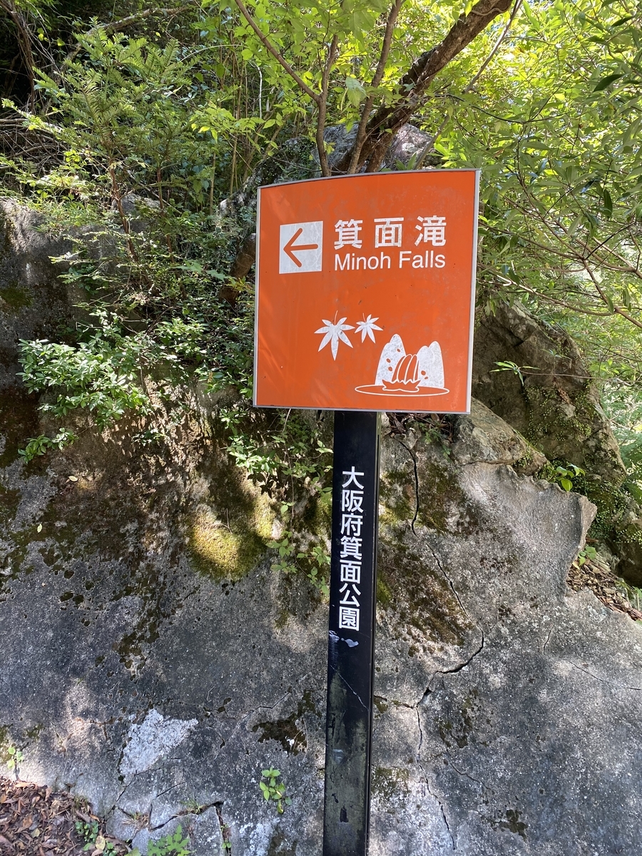 f:id:nozawanacp:20201003160737j:plain