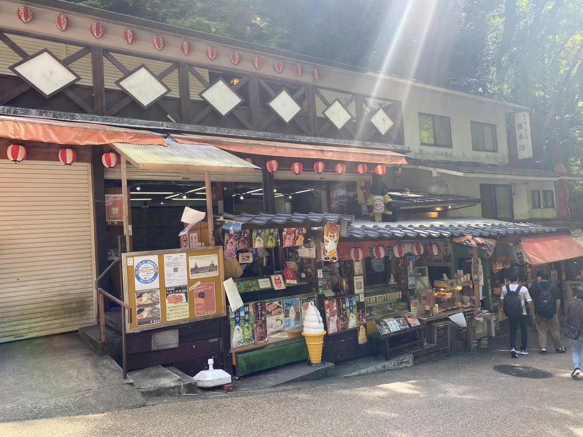 f:id:nozawanacp:20201003161234j:plain