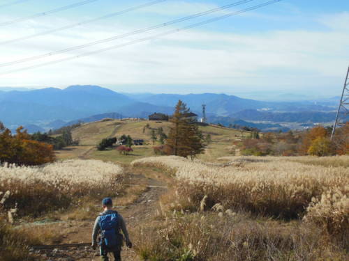 f:id:nozomi61:20151112111536j:image f:id:nozomi61:20151112111536j:image