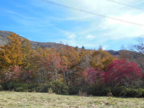 f:id:nozomi61:20151112111823j:image f:id:nozomi61:20151112111823j:image