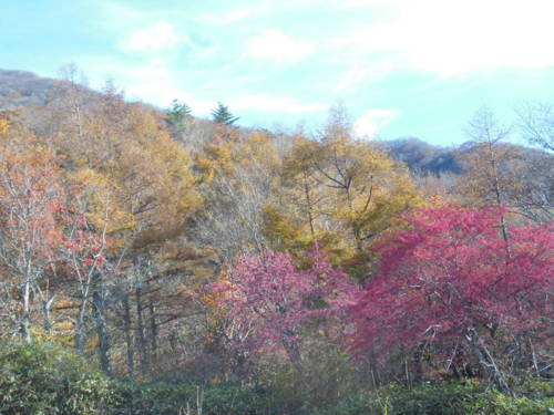 f:id:nozomi61:20151112111829j:image f:id:nozomi61:20151112111829j:image