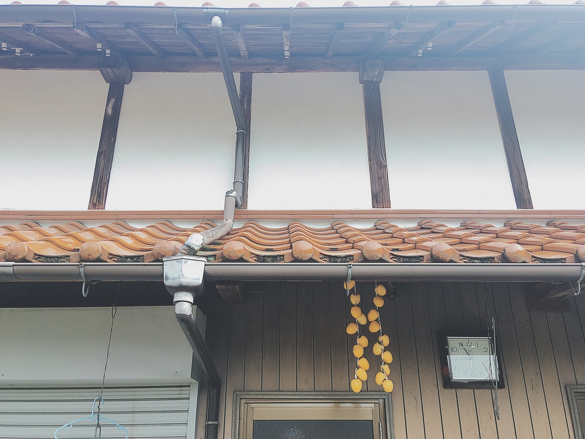 f:id:nozomikayaki:20201028155222j:plain