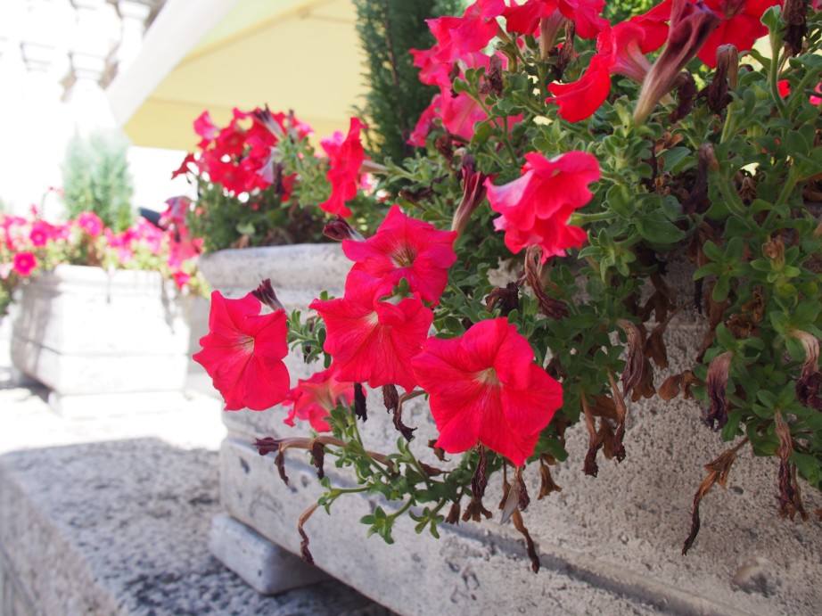 f:id:nozomin_travel:20190905172113j:plain f:id:nozomin_travel:20190905172113j:plain