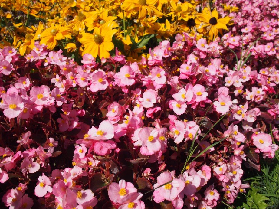 f:id:nozomin_travel:20190905172121j:plain f:id:nozomin_travel:20190905172121j:plain