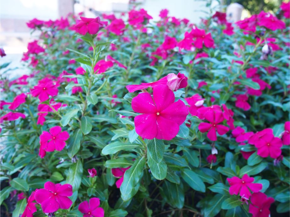 f:id:nozomin_travel:20190908194233j:plain f:id:nozomin_travel:20190908194233j:plain