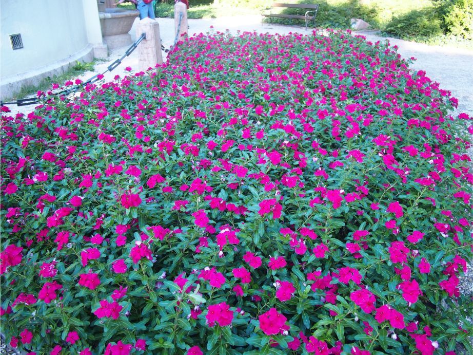 f:id:nozomin_travel:20190908194238j:plain f:id:nozomin_travel:20190908194238j:plain
