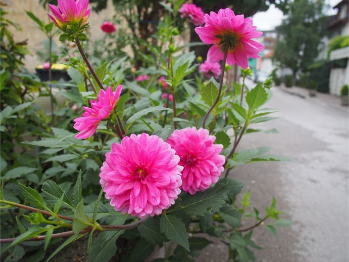 f:id:nozomin_travel:20190910141615j:plain f:id:nozomin_travel:20190910141615j:plain
