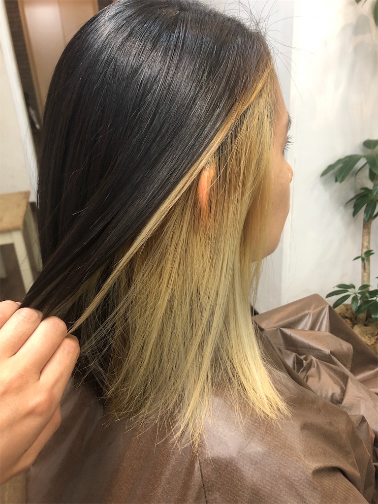 f:id:nozominakamura:20190729232345j:image